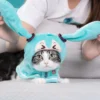 kf S5141624b3a3a4593ae9cf30b23e1d752X - Hatsune Miku Merch